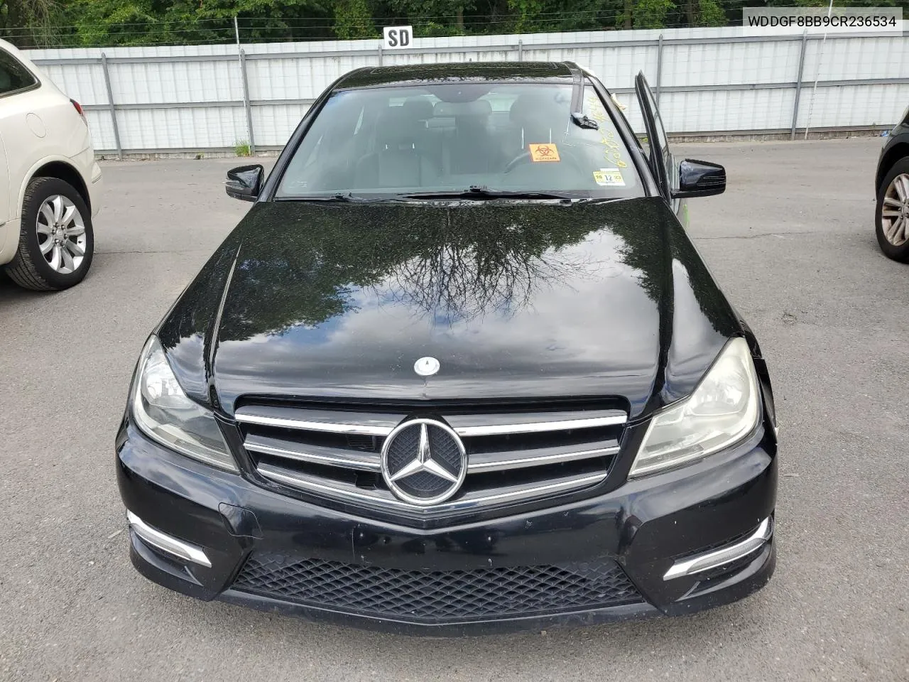 2012 Mercedes-Benz C 300 4Matic VIN: WDDGF8BB9CR236534 Lot: 62829644