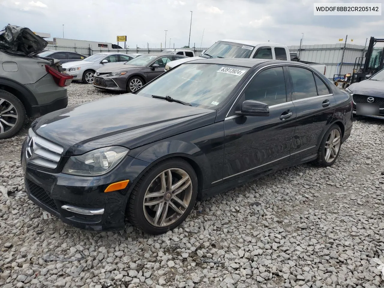 2012 Mercedes-Benz C 300 4Matic VIN: WDDGF8BB2CR205142 Lot: 63913924