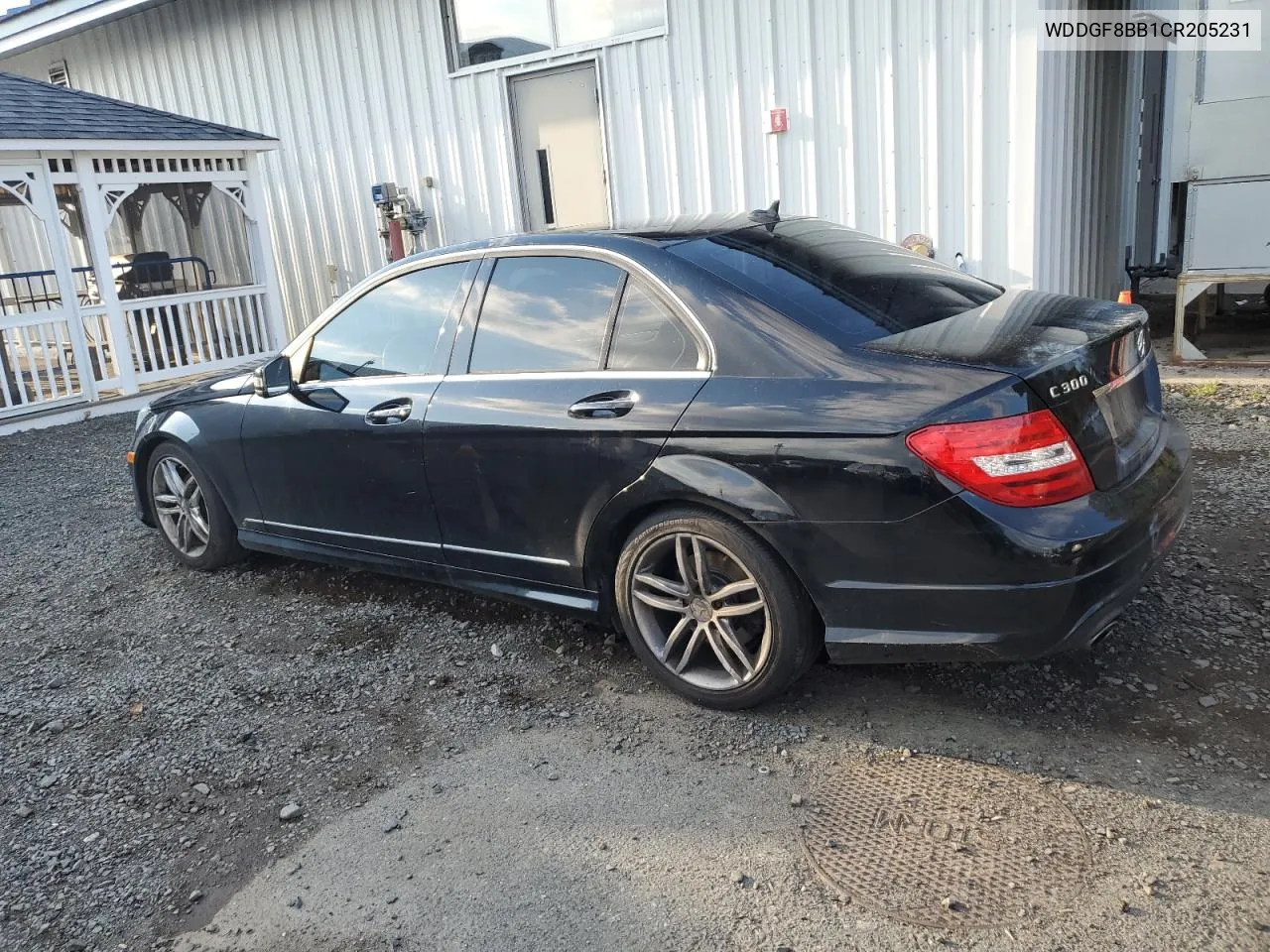 2012 Mercedes-Benz C 300 4Matic VIN: WDDGF8BB1CR205231 Lot: 74746324