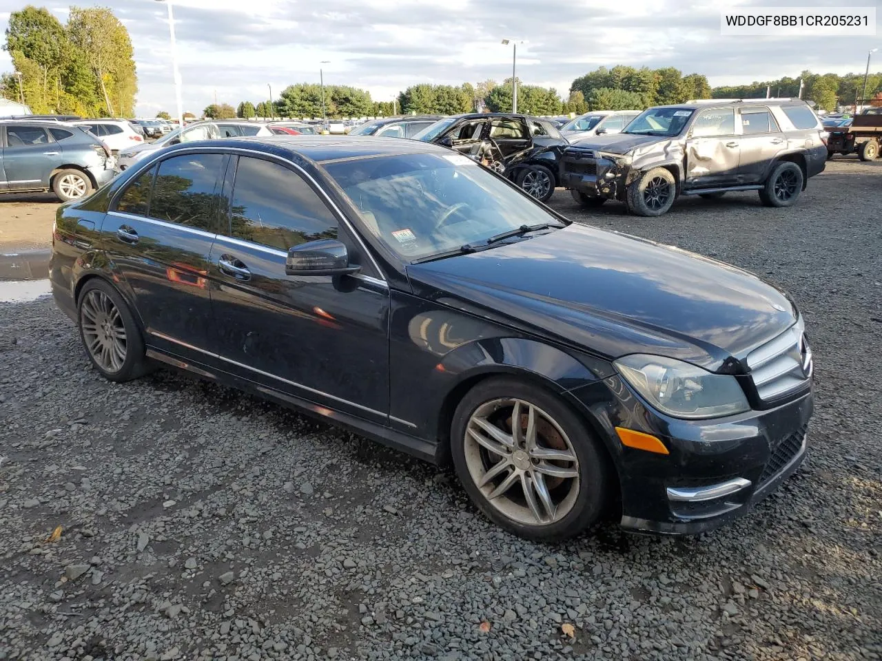 2012 Mercedes-Benz C 300 4Matic VIN: WDDGF8BB1CR205231 Lot: 74746324