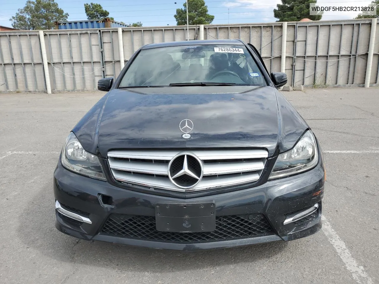 2012 Mercedes-Benz C 350 VIN: WDDGF5HB2CR213828 Lot: 76286344