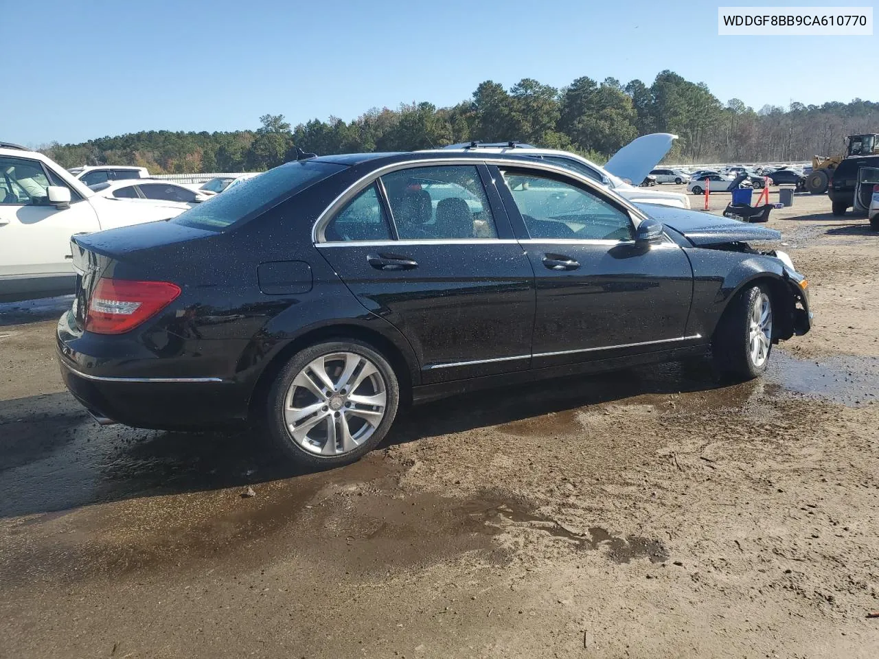 2012 Mercedes-Benz C 300 4Matic VIN: WDDGF8BB9CA610770 Lot: 77389034