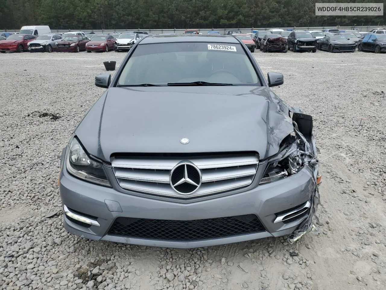 2012 Mercedes-Benz C 250 VIN: WDDGF4HB5CR239026 Lot: 78623924