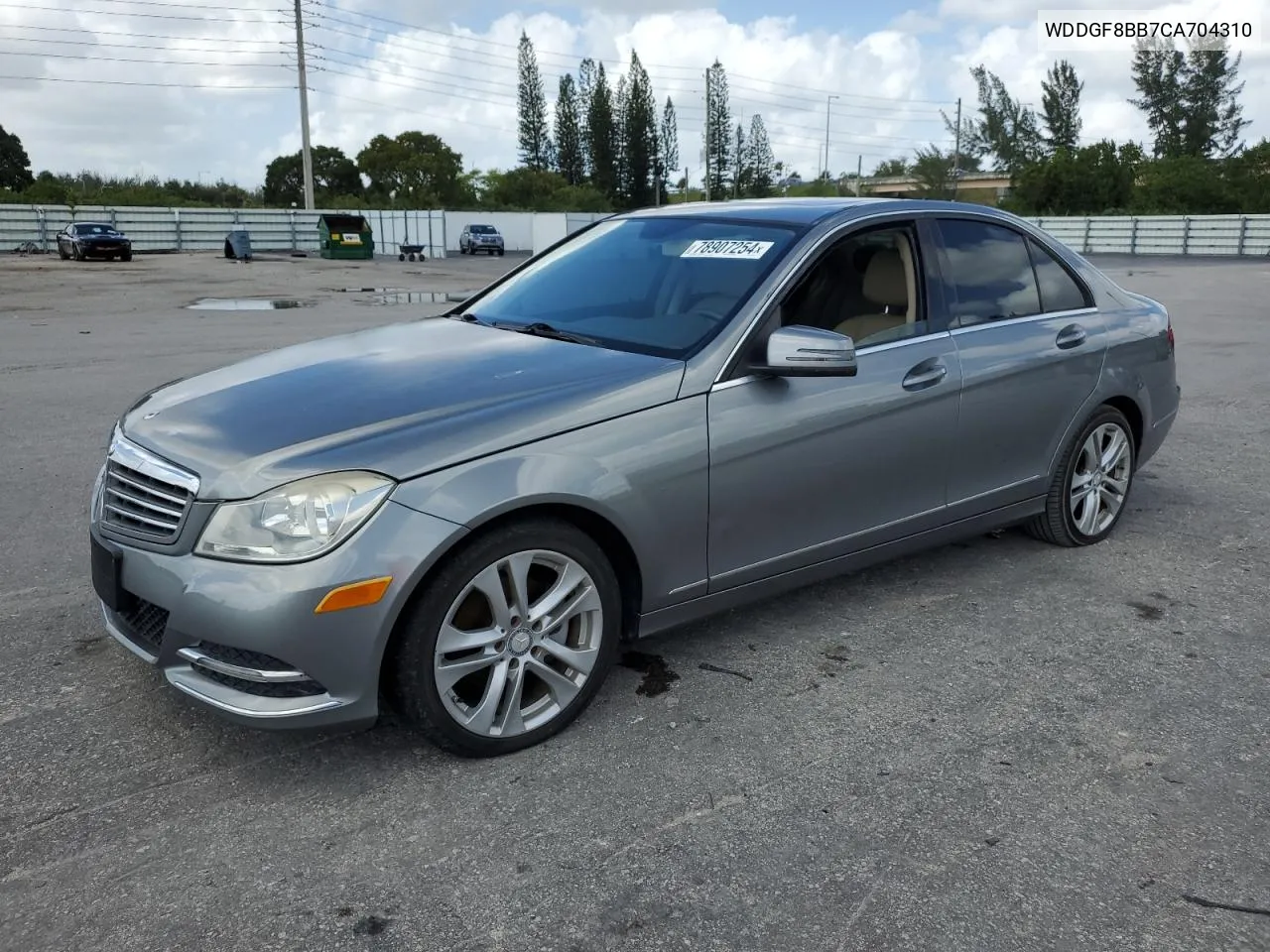 2012 Mercedes-Benz C 300 4Matic VIN: WDDGF8BB7CA704310 Lot: 78907254