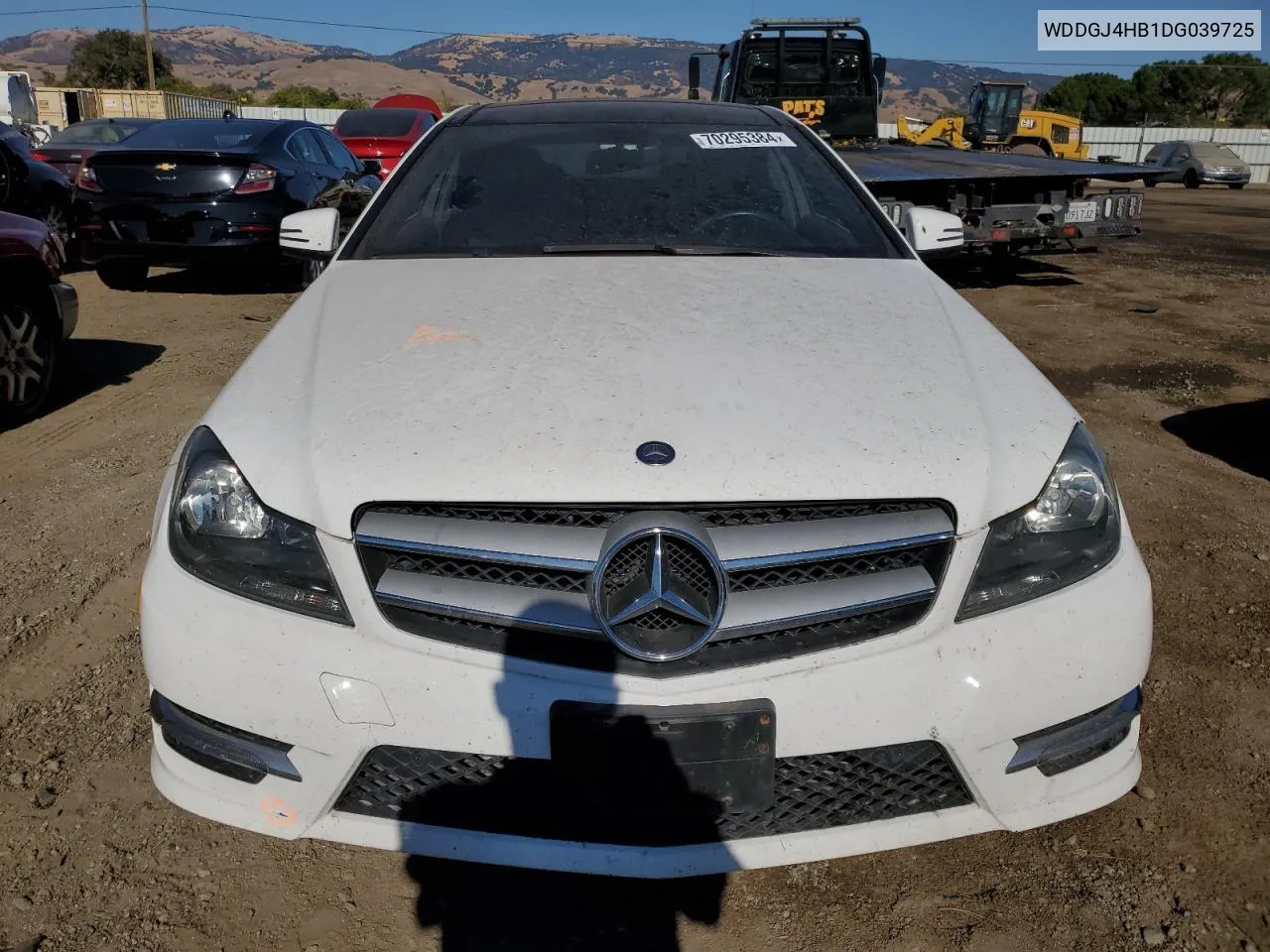 2013 Mercedes-Benz C 250 VIN: WDDGJ4HB1DG039725 Lot: 70295384