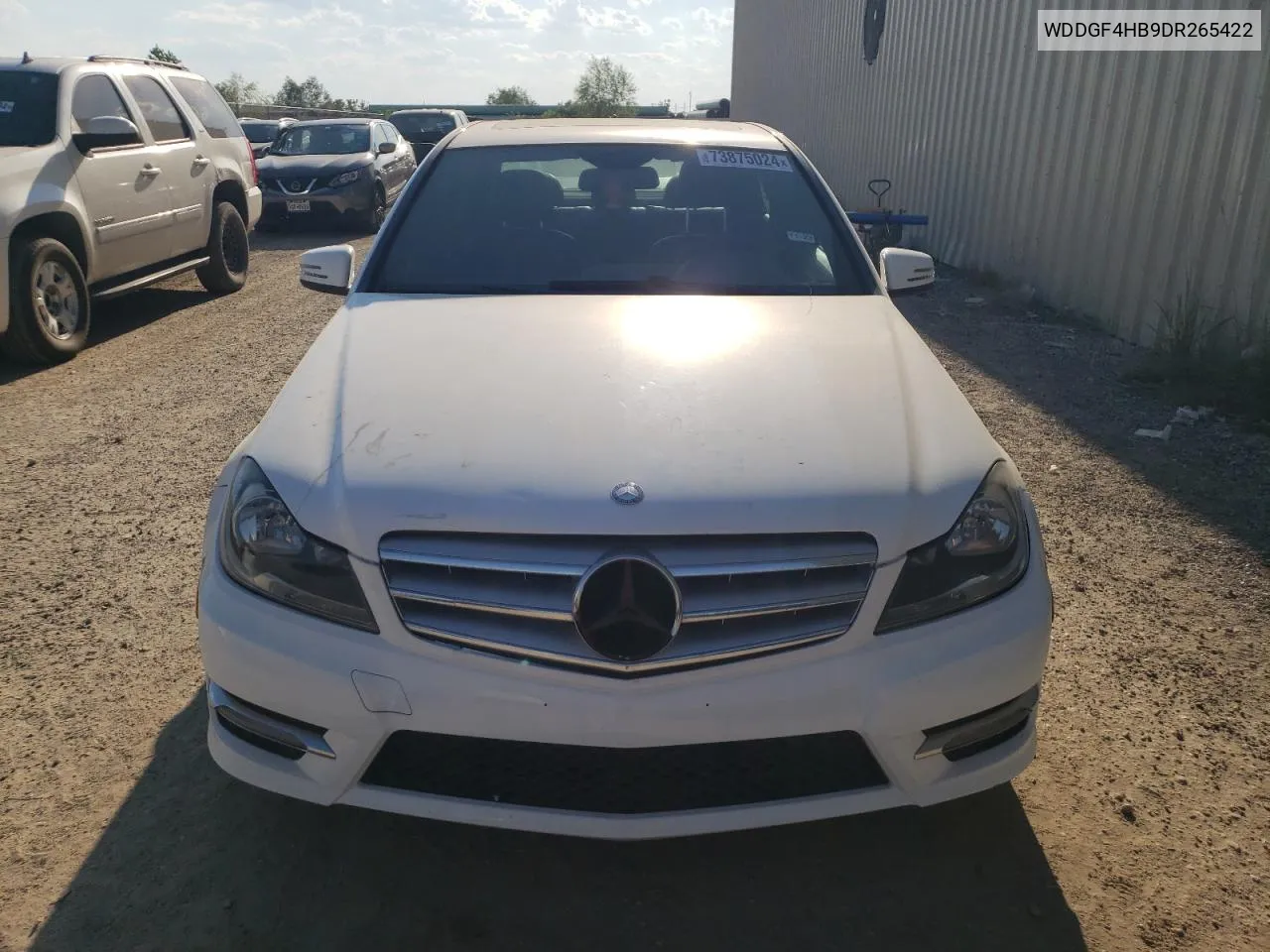 2013 Mercedes-Benz C 250 VIN: WDDGF4HB9DR265422 Lot: 73875024