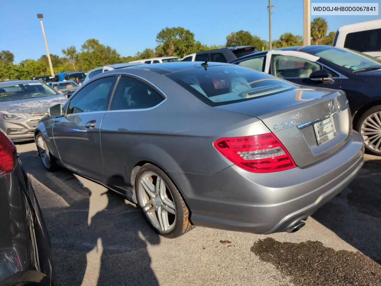 2013 Mercedes-Benz C 250 VIN: WDDGJ4HB0DG067841 Lot: 75821984