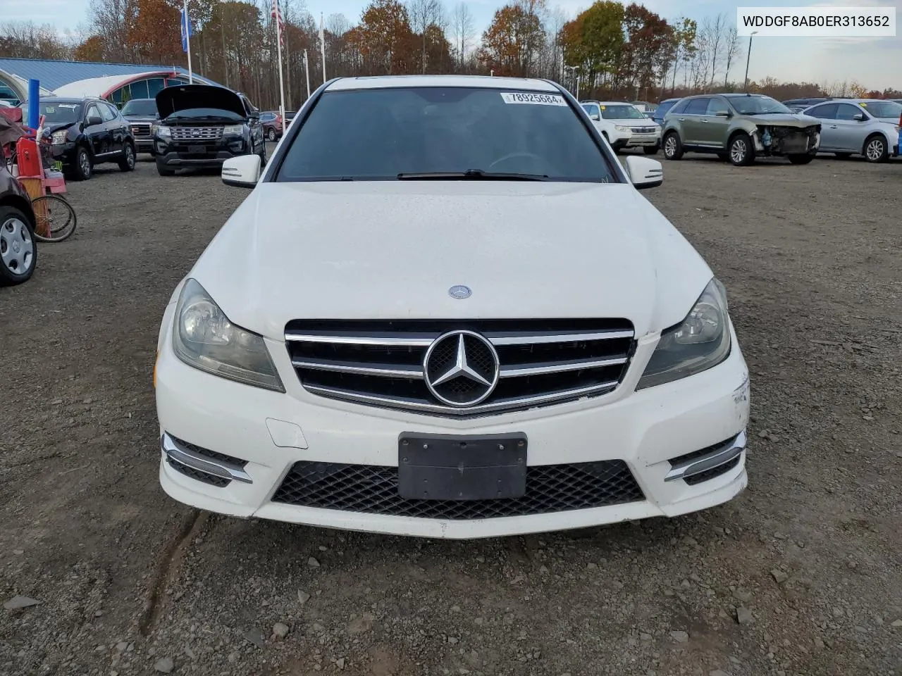 2014 Mercedes-Benz C 300 4Matic VIN: WDDGF8AB0ER313652 Lot: 78925684