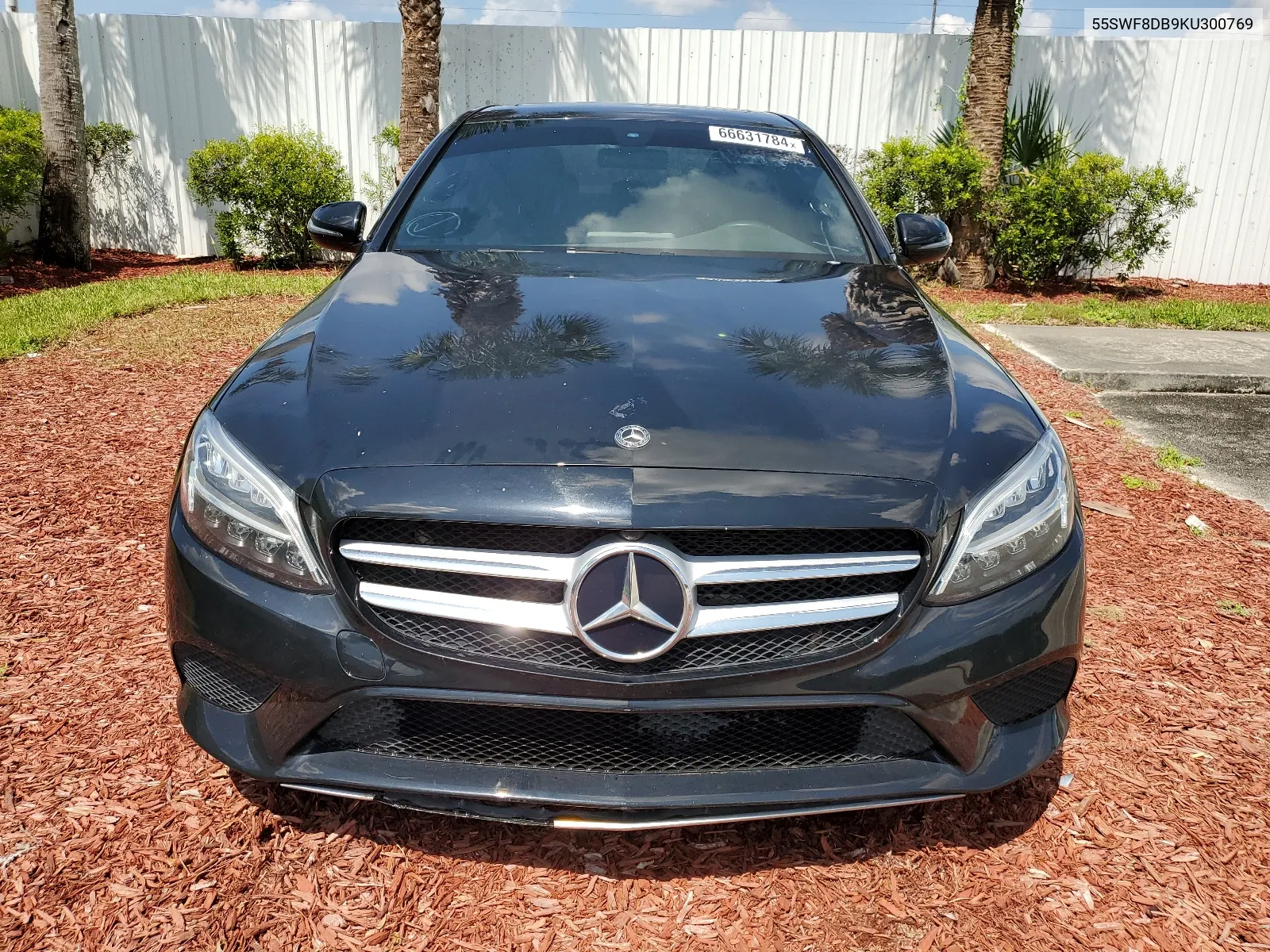 2019 Mercedes-Benz C 300 VIN: 55SWF8DB9KU300769 Lot: 66631784