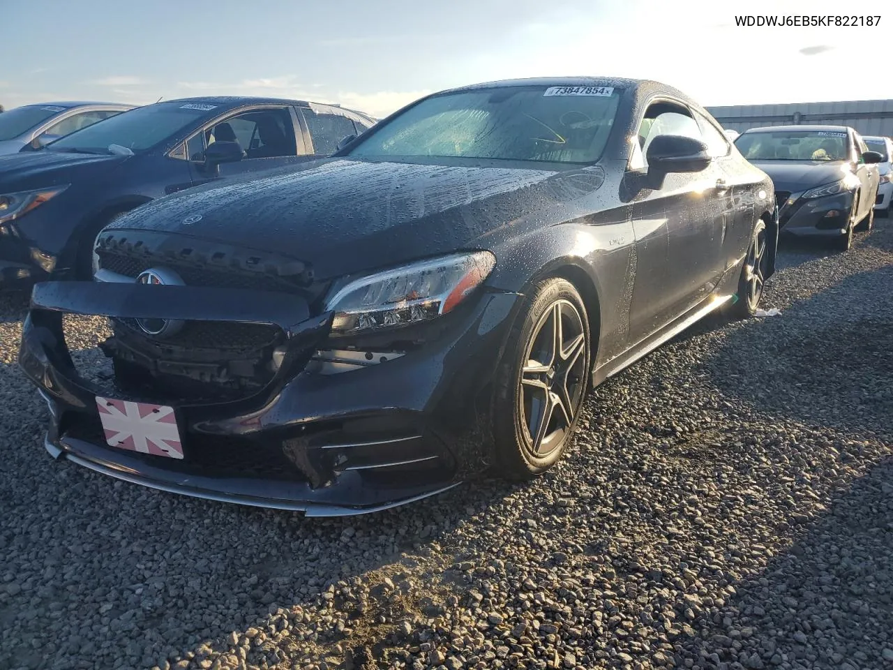 2019 Mercedes-Benz C 43 Amg VIN: WDDWJ6EB5KF822187 Lot: 73847854