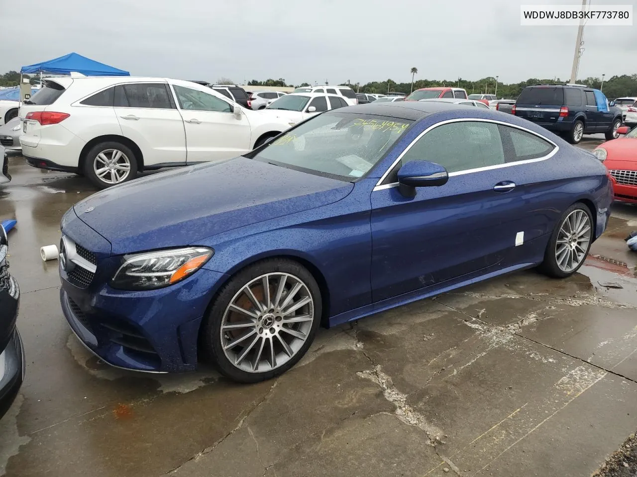 2019 Mercedes-Benz C 300 VIN: WDDWJ8DB3KF773780 Lot: 74564954