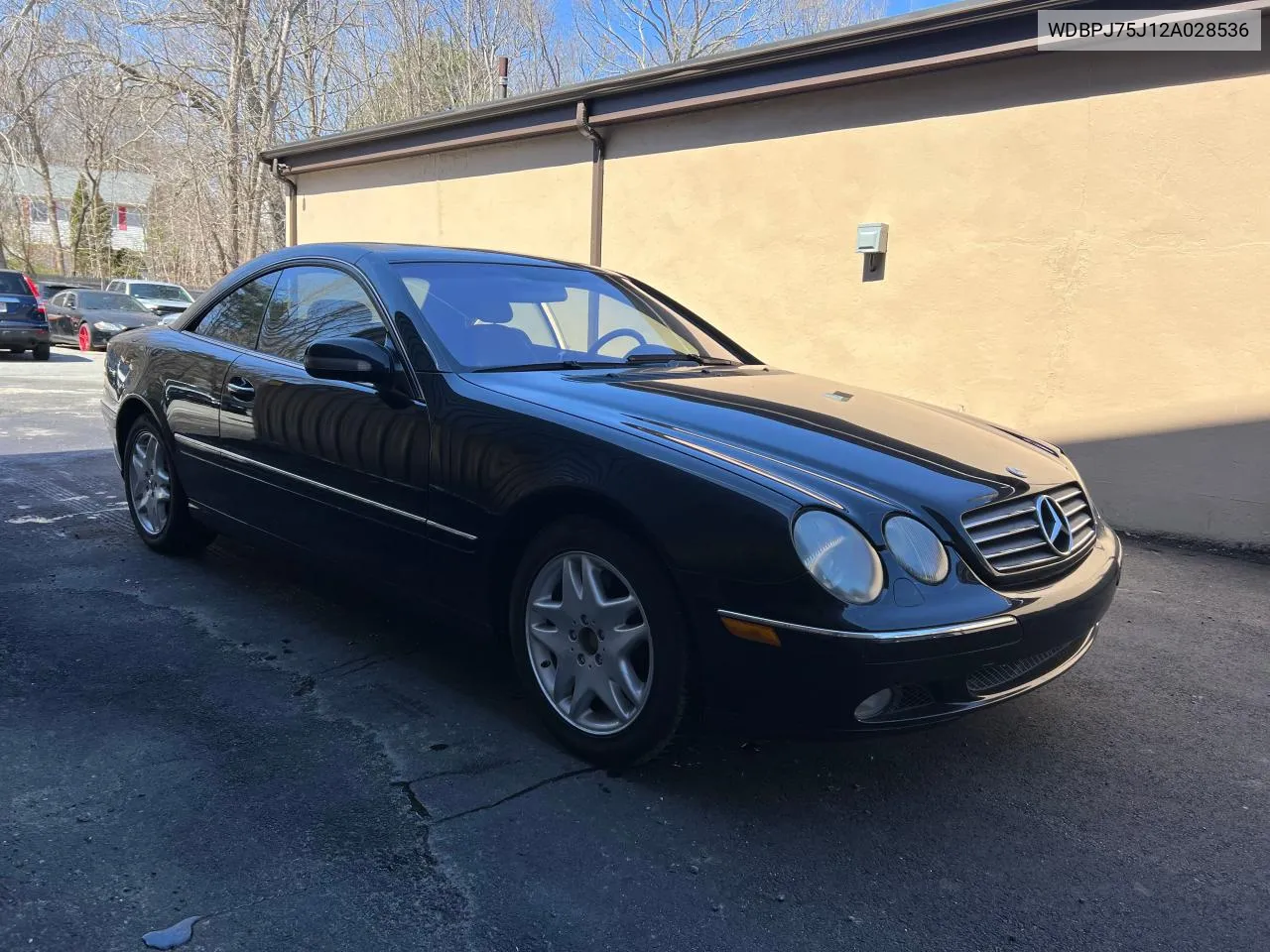 2002 Mercedes-Benz Cl 500 VIN: WDBPJ75J12A028536 Lot: 80300524