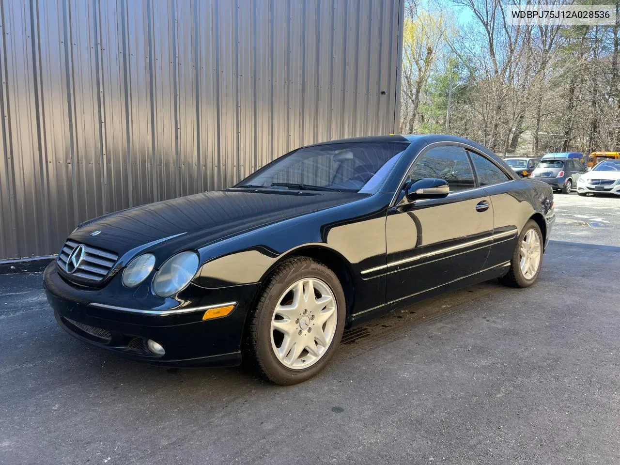 2002 Mercedes-Benz Cl 500 VIN: WDBPJ75J12A028536 Lot: 80300524