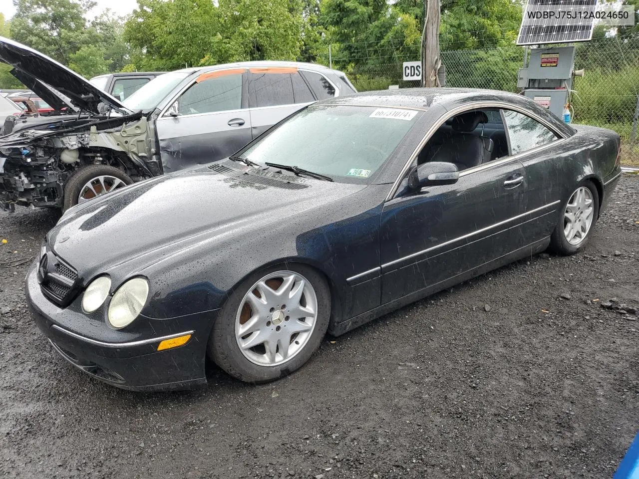 2002 Mercedes-Benz Cl 500 VIN: WDBPJ75J12A024650 Lot: 80916174