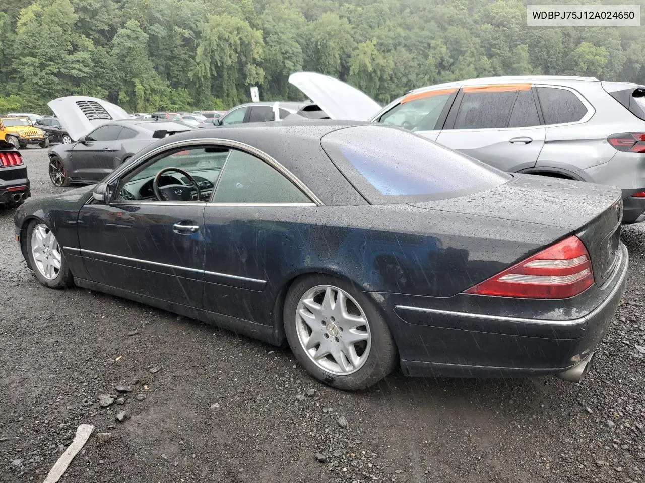 2002 Mercedes-Benz Cl 500 VIN: WDBPJ75J12A024650 Lot: 80916174