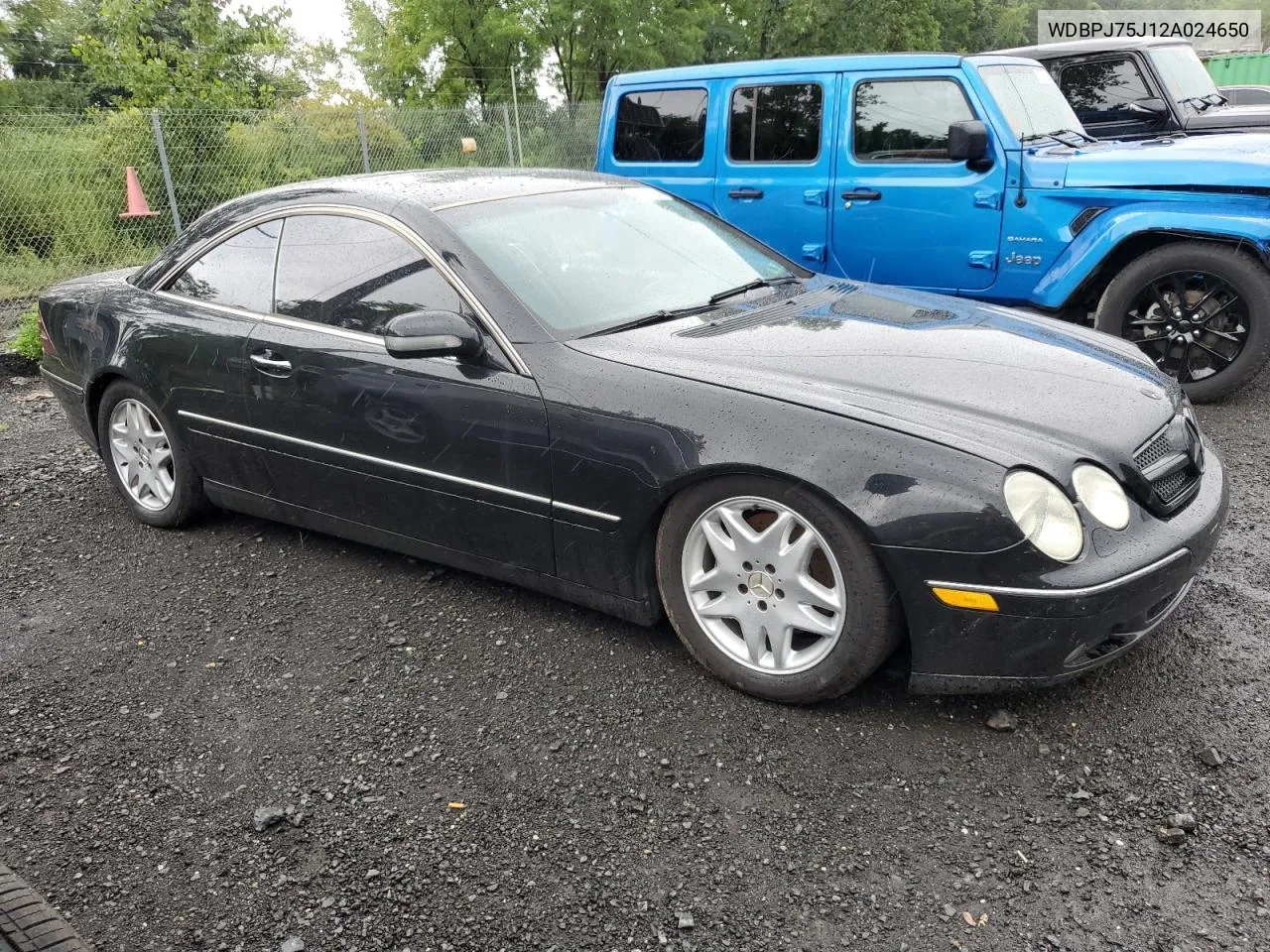 2002 Mercedes-Benz Cl 500 VIN: WDBPJ75J12A024650 Lot: 80916174