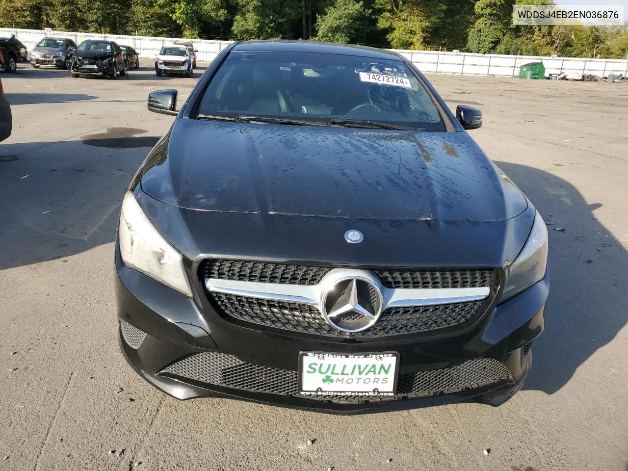 2014 Mercedes-Benz Cla 250 VIN: WDDSJ4EB2EN036876 Lot: 74272724