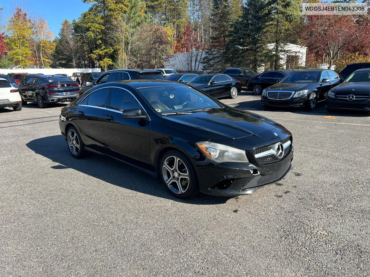 2014 Mercedes-Benz Cla 250 VIN: WDDSJ4EB1EN063308 Lot: 79112444