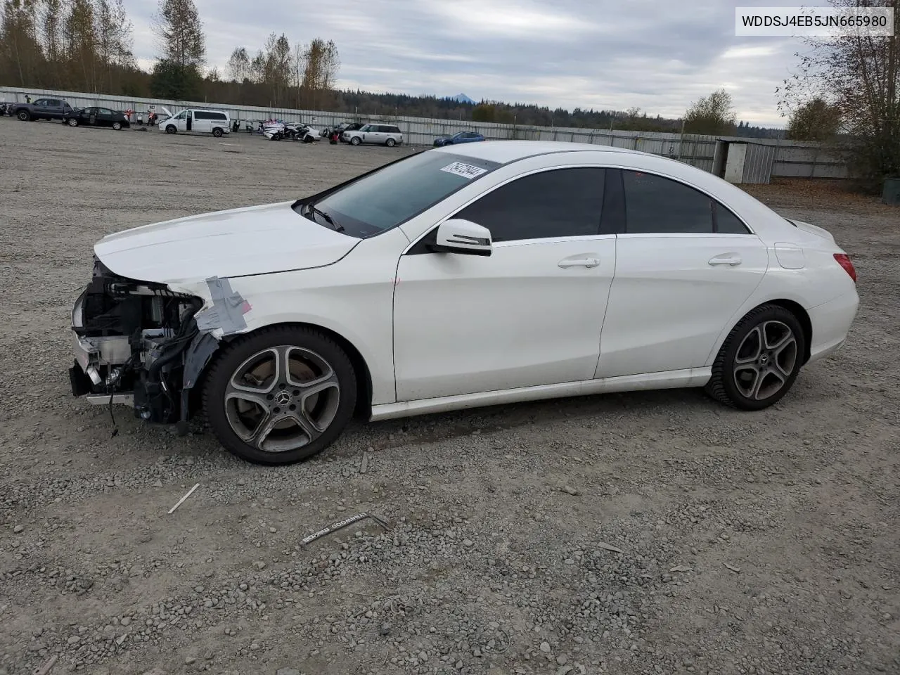 2018 Mercedes-Benz Cla 250 VIN: WDDSJ4EB5JN665980 Lot: 75472844