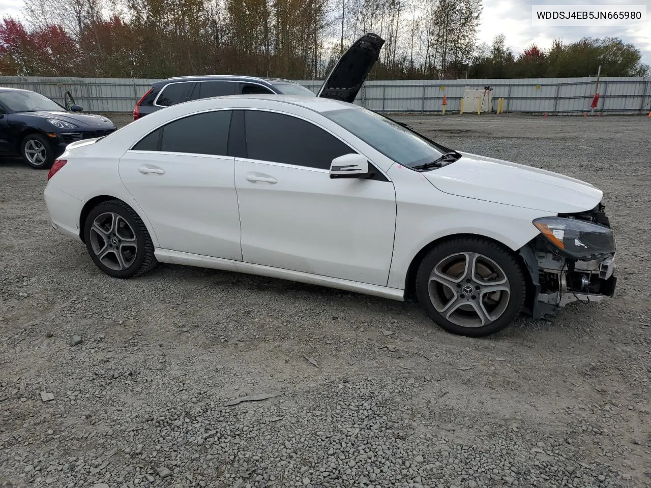 2018 Mercedes-Benz Cla 250 VIN: WDDSJ4EB5JN665980 Lot: 75472844