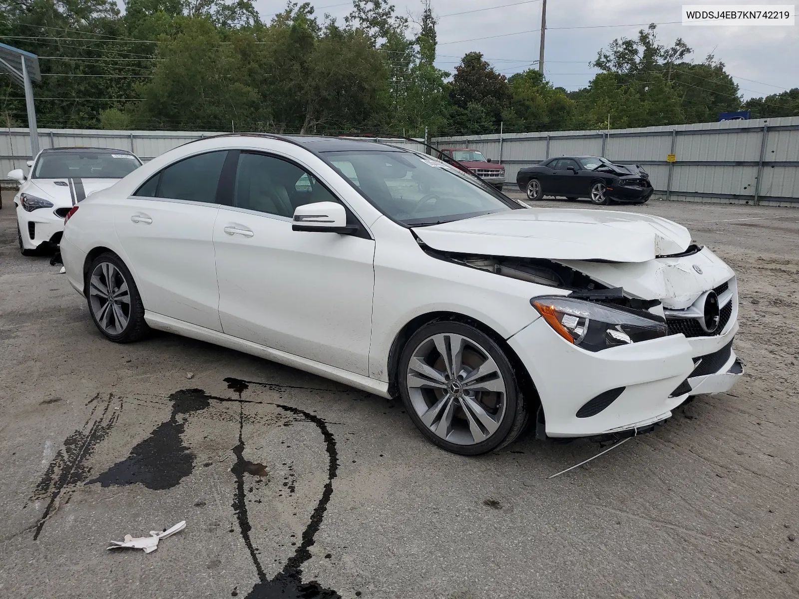 2019 Mercedes-Benz Cla 250 VIN: WDDSJ4EB7KN742219 Lot: 68544964