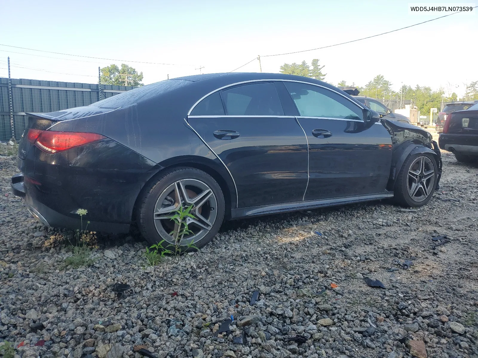 2020 Mercedes-Benz Cla 250 4Matic VIN: WDD5J4HB7LN073539 Lot: 65514364