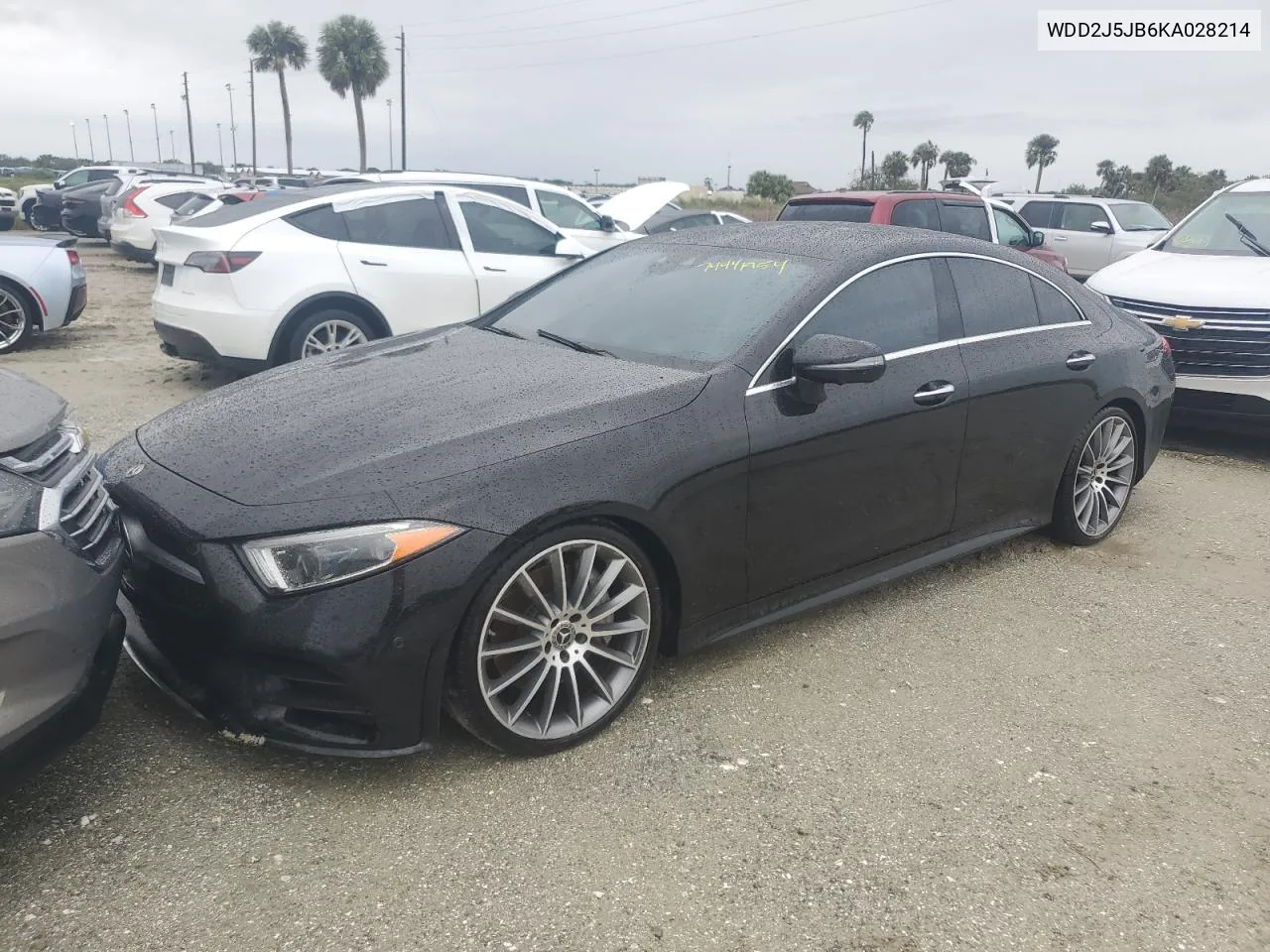 2019 Mercedes-Benz Cls 450 VIN: WDD2J5JB6KA028214 Lot: 74441954