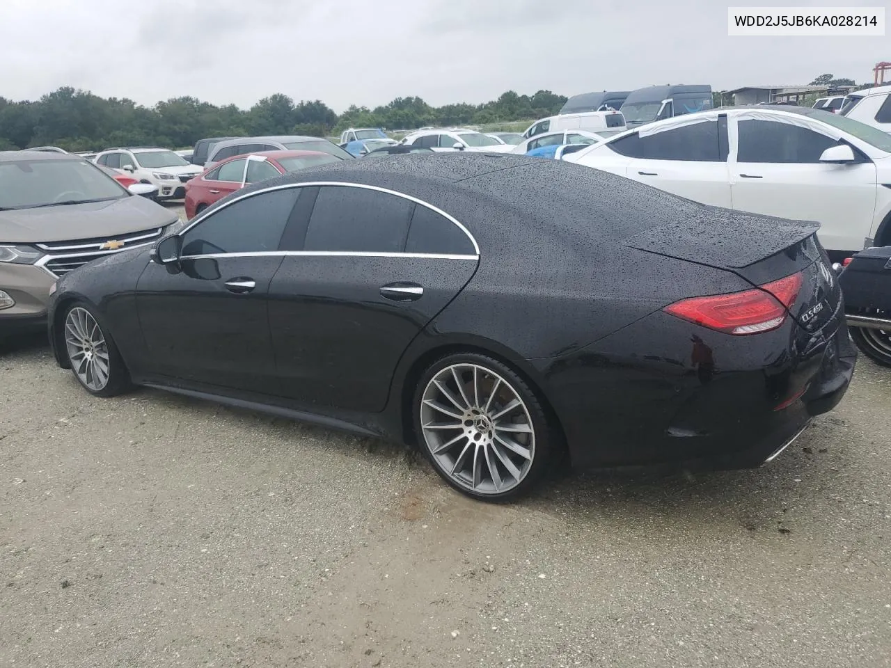 2019 Mercedes-Benz Cls 450 VIN: WDD2J5JB6KA028214 Lot: 74441954