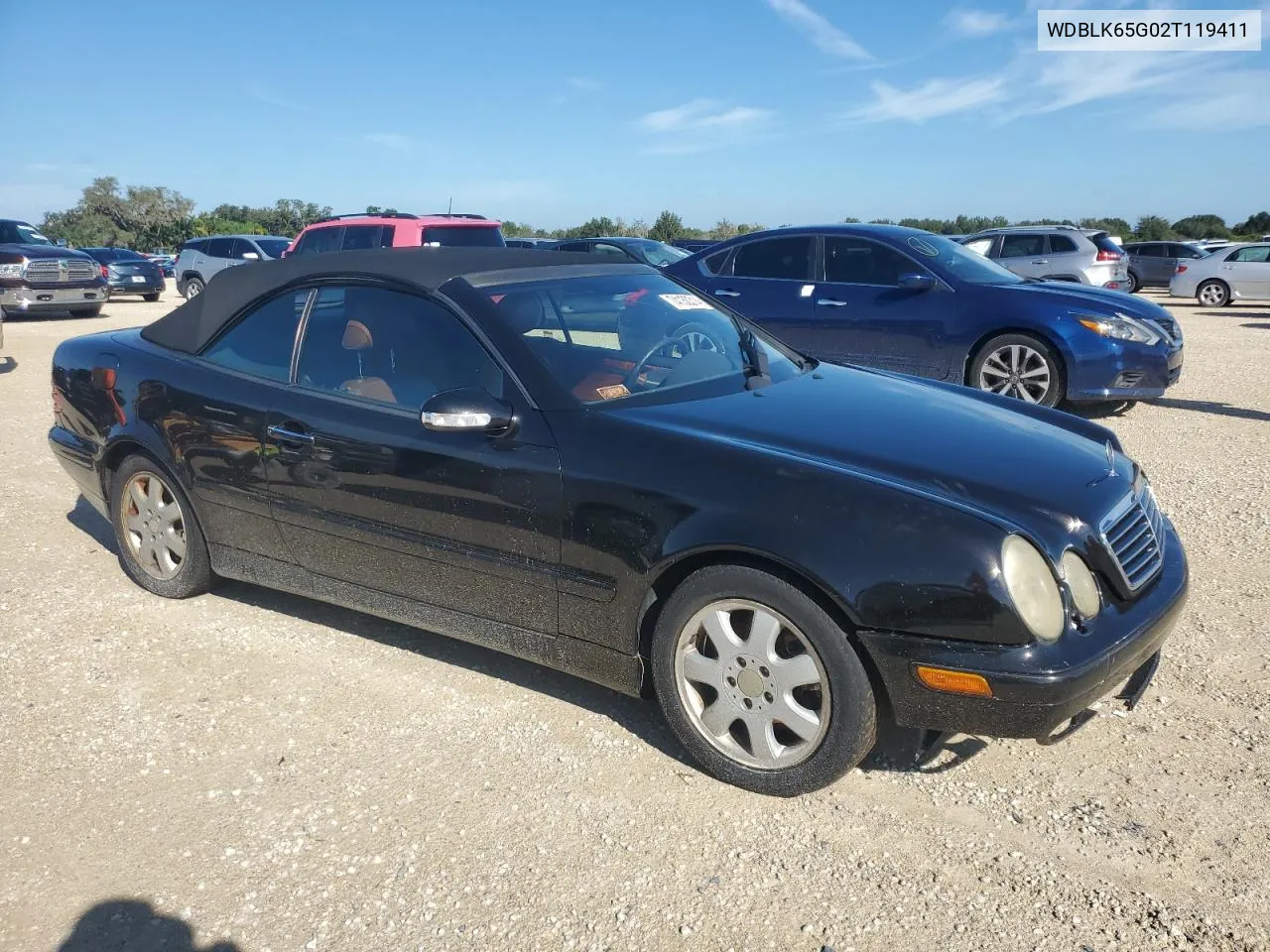 2002 Mercedes-Benz Clk 320 VIN: WDBLK65G02T119411 Lot: 74130314