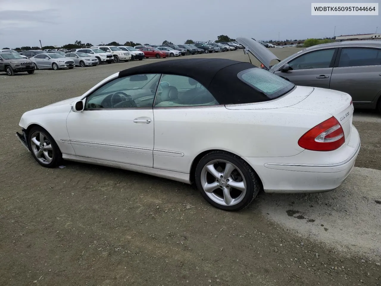 2005 Mercedes-Benz Clk 320 VIN: WDBTK65G95T044664 Lot: 76533454