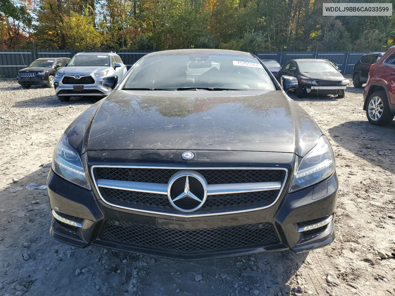 2012 Mercedes-Benz Cls 550 4Matic VIN: WDDLJ9BB6CA033599 Lot: 75705964