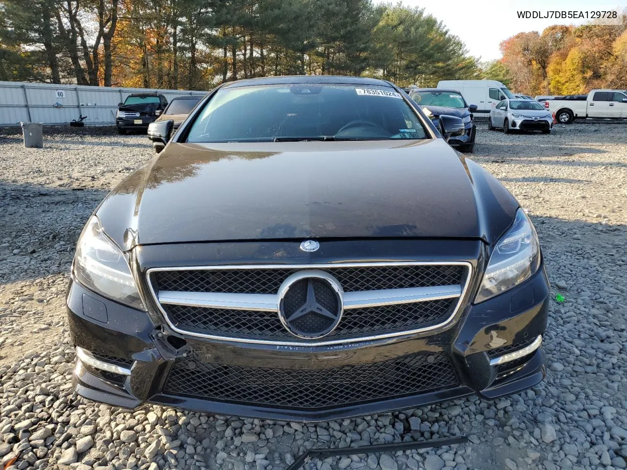 2014 Mercedes-Benz Cls 550 VIN: WDDLJ7DB5EA129728 Lot: 78351024