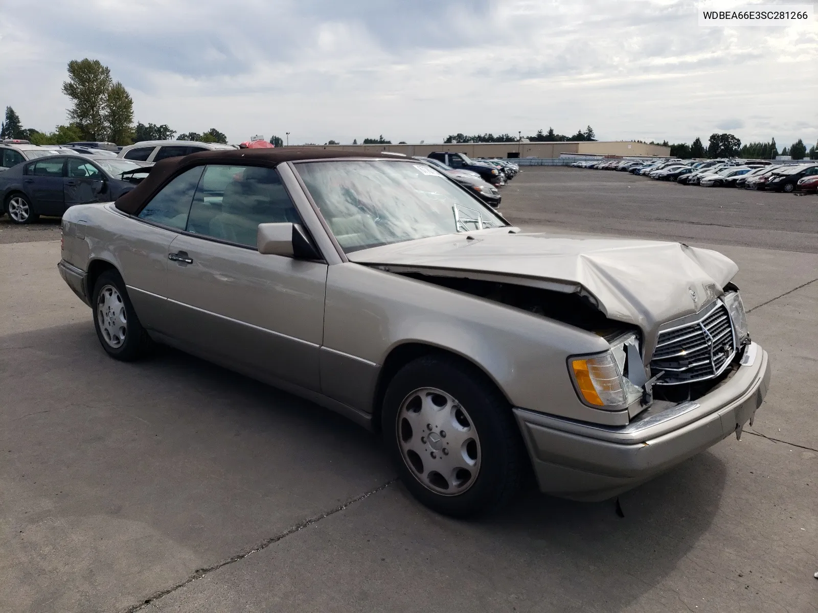 1995 Mercedes-Benz E 320 VIN: WDBEA66E3SC281266 Lot: 67787154