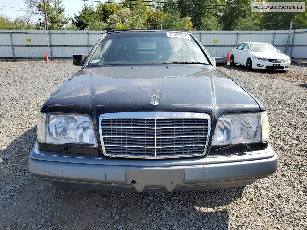 1995 Mercedes-Benz E 320 VIN: WDBEA66E2SC184883 Lot: 71004084