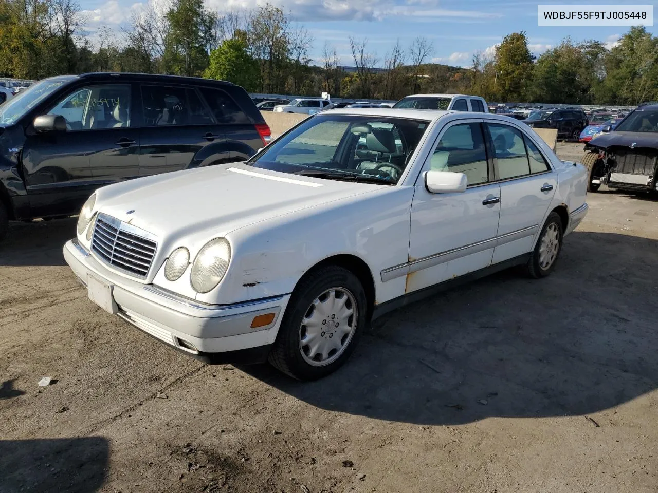 1996 Mercedes-Benz E 320 VIN: WDBJF55F9TJ005448 Lot: 75096904