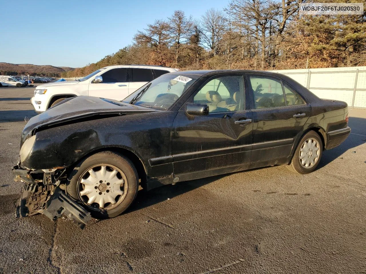 1996 Mercedes-Benz E 300D VIN: WDBJF20F6TJ020530 Lot: 79484094