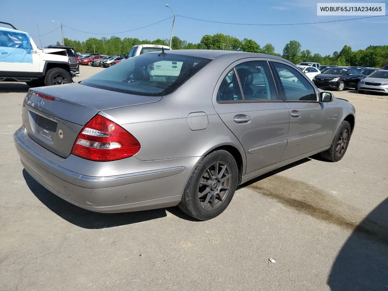 2003 Mercedes-Benz E 320 VIN: WDBUF65J13A234665 Lot: 51797834