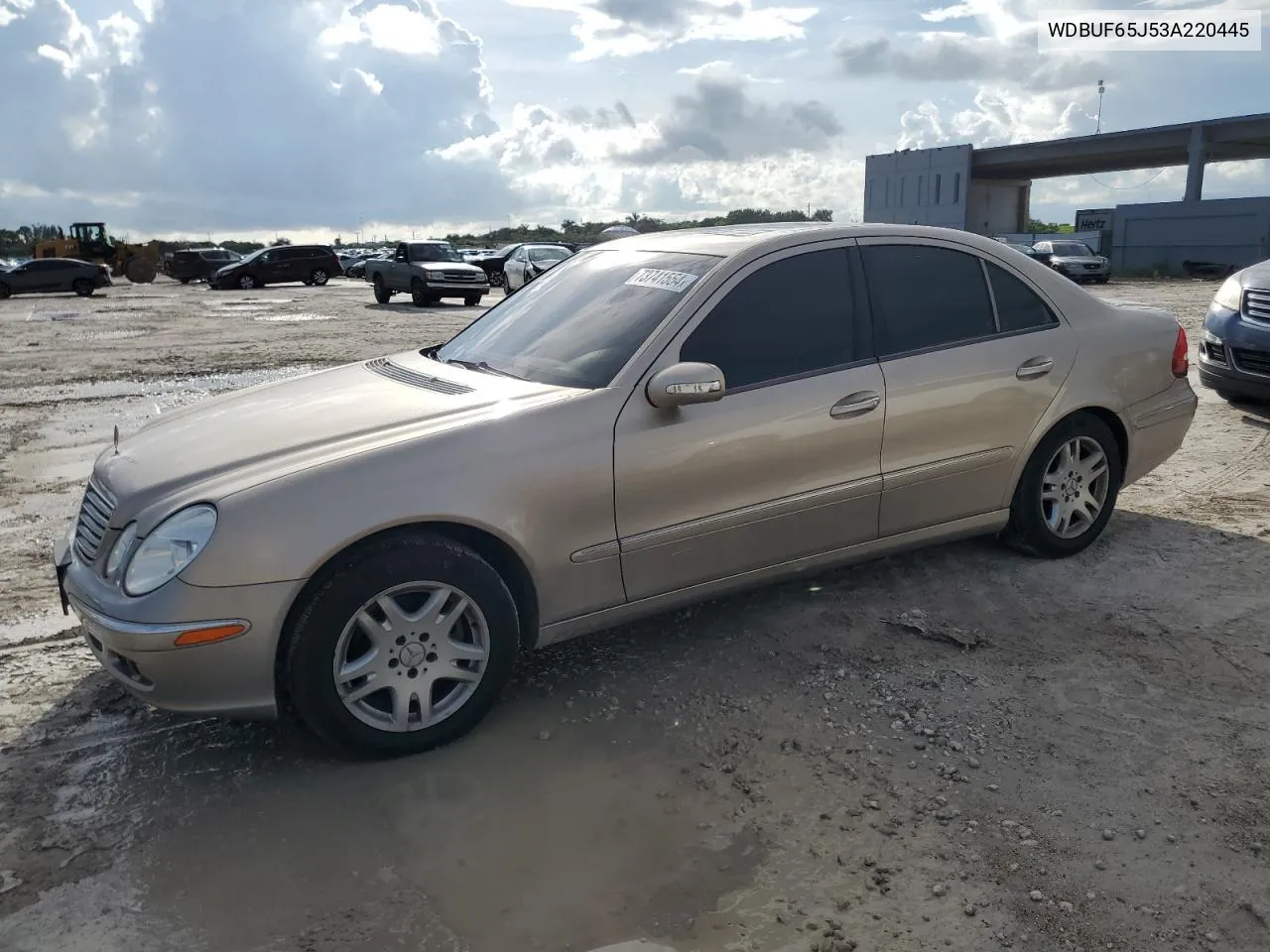 2003 Mercedes-Benz E 320 VIN: WDBUF65J53A220445 Lot: 73741554