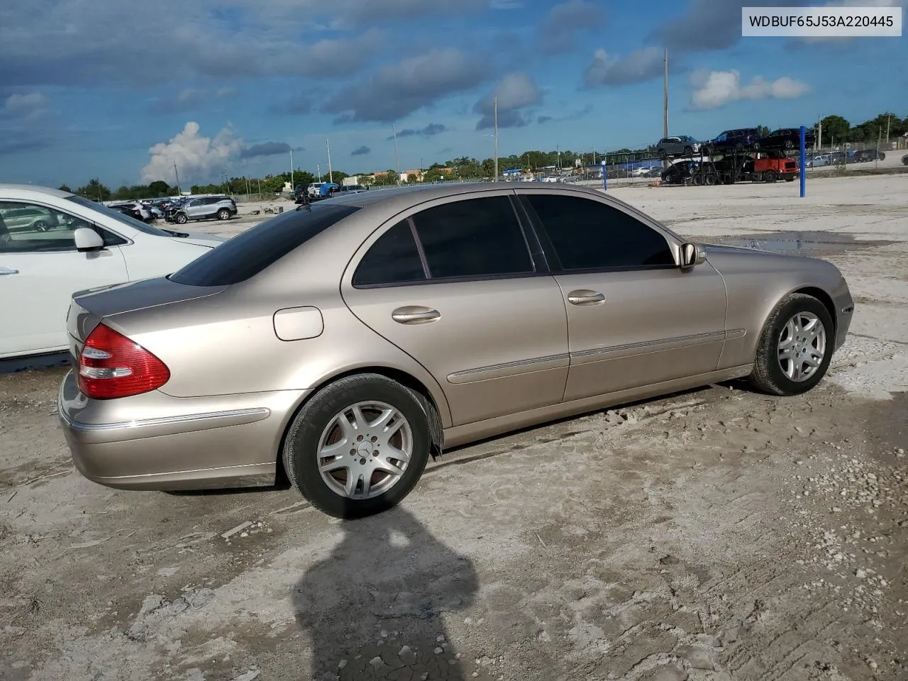 2003 Mercedes-Benz E 320 VIN: WDBUF65J53A220445 Lot: 73741554