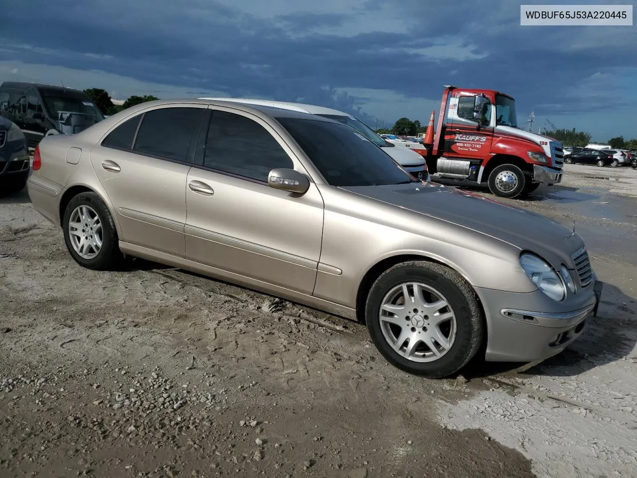 2003 Mercedes-Benz E 320 VIN: WDBUF65J53A220445 Lot: 73741554