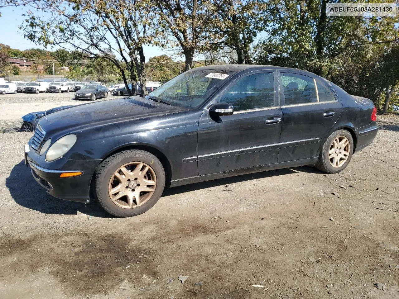 2003 Mercedes-Benz E 320 VIN: WDBUF65J03A281430 Lot: 77086054