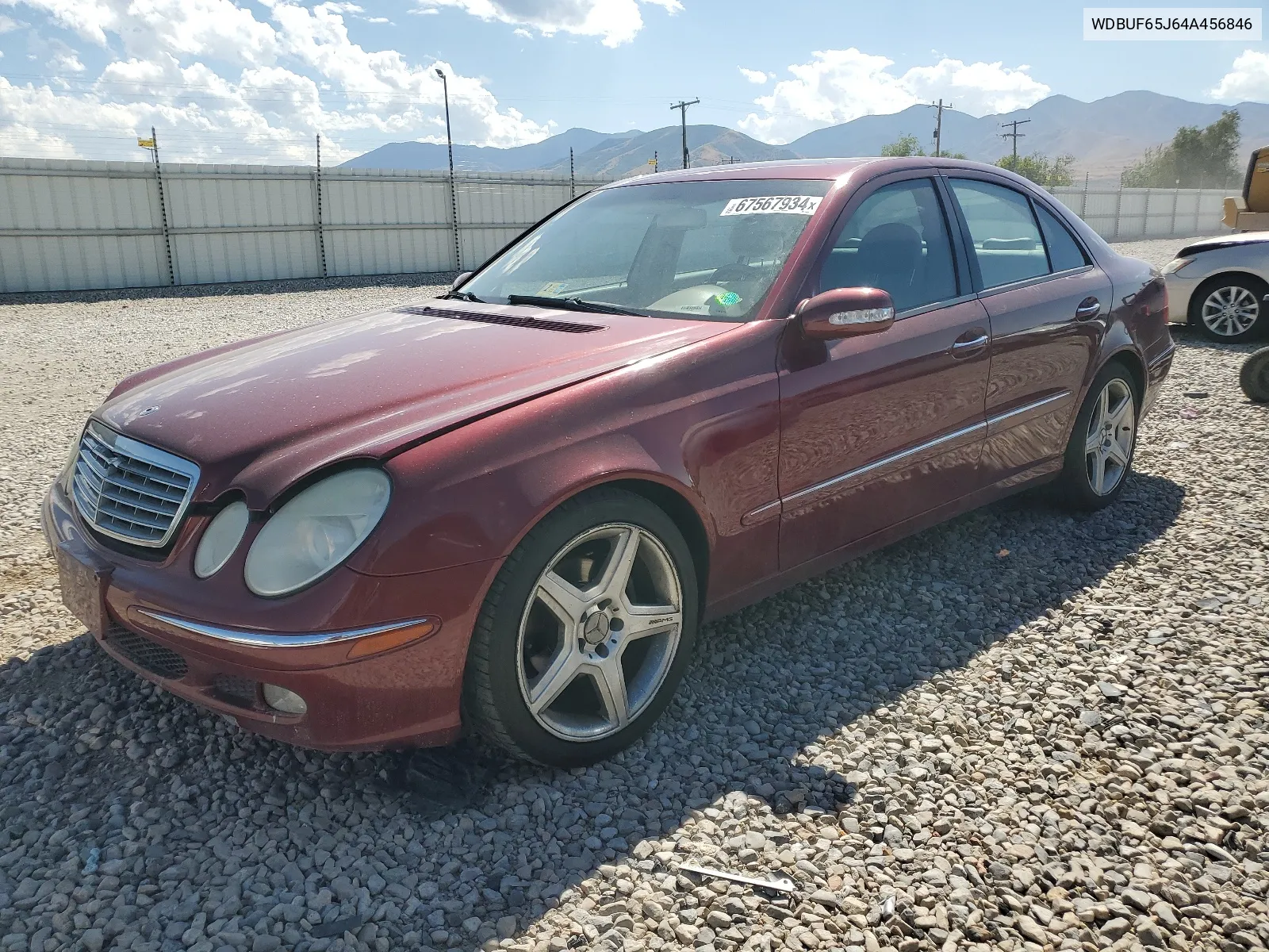 2004 Mercedes-Benz E 320 VIN: WDBUF65J64A456846 Lot: 67567934