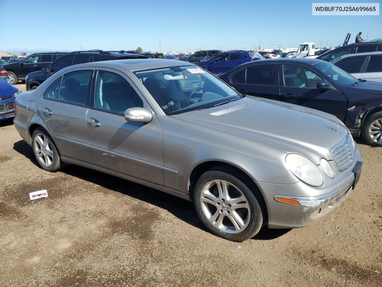 2005 Mercedes-Benz E 500 VIN: WDBUF70J25A699665 Lot: 67596464