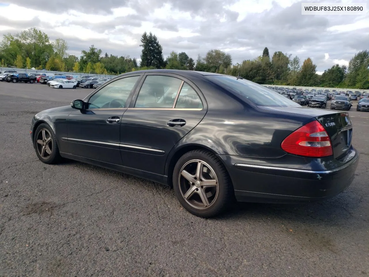 2005 Mercedes-Benz E 500 4Matic VIN: WDBUF83J25X180890 Lot: 72943454