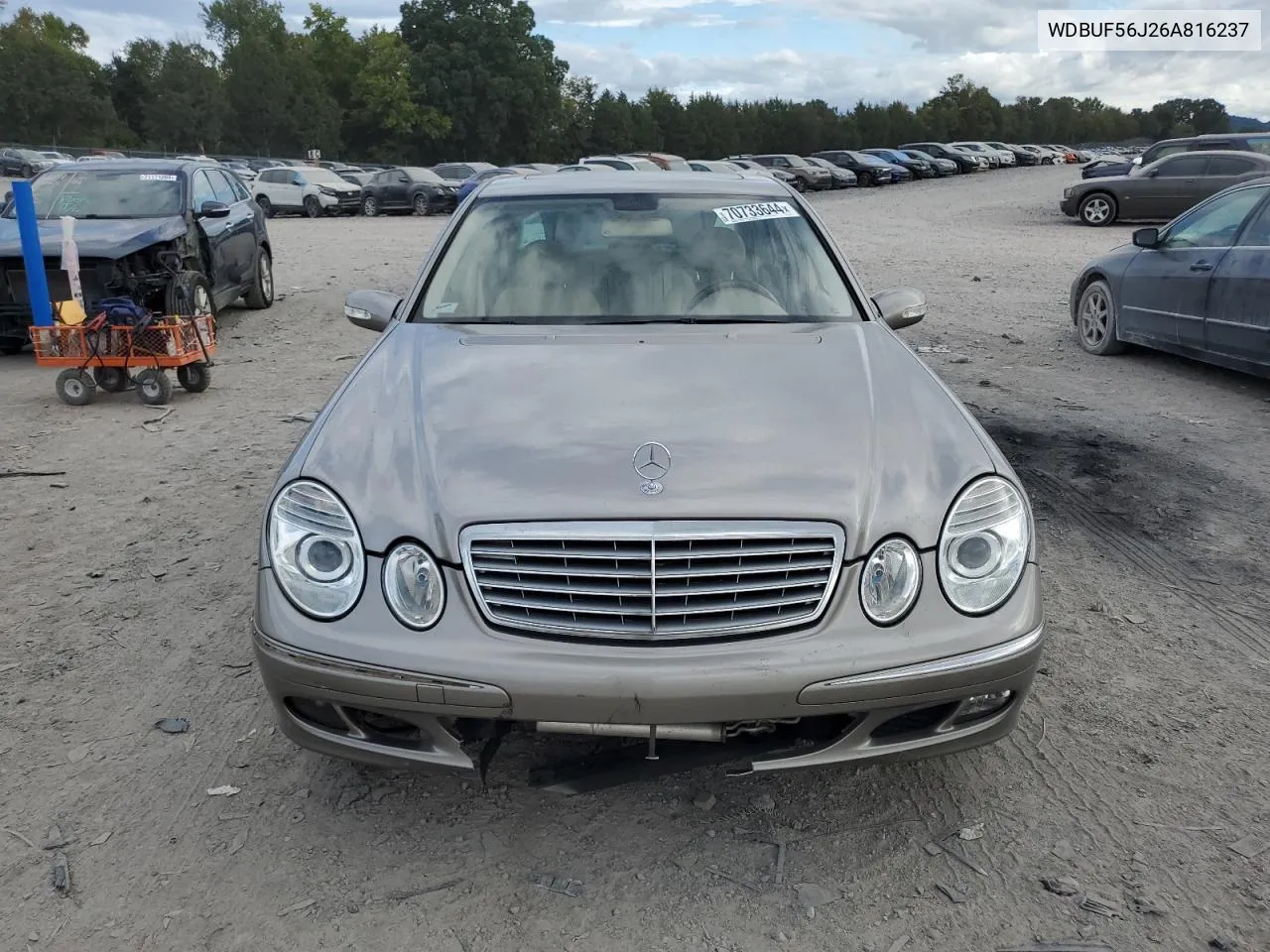 2006 Mercedes-Benz E 350 VIN: WDBUF56J26A816237 Lot: 70733644