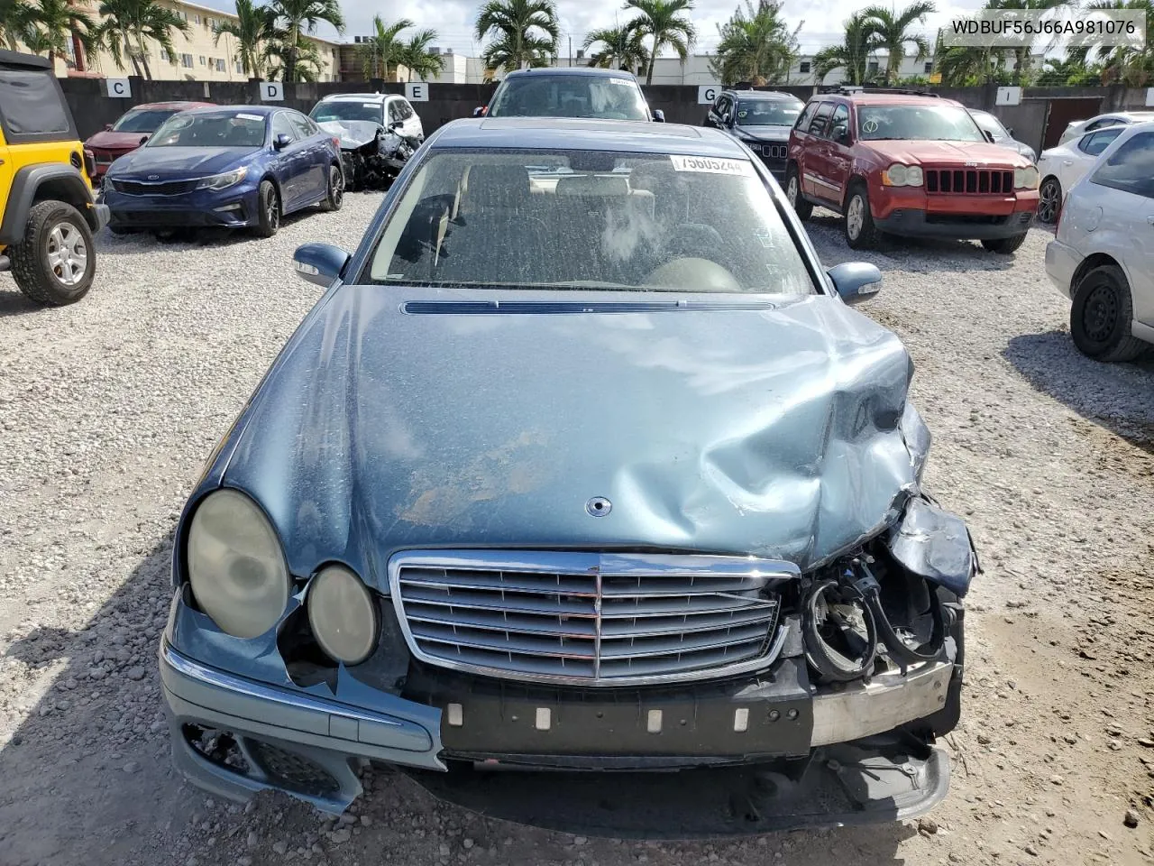 2006 Mercedes-Benz E 350 VIN: WDBUF56J66A981076 Lot: 75605244