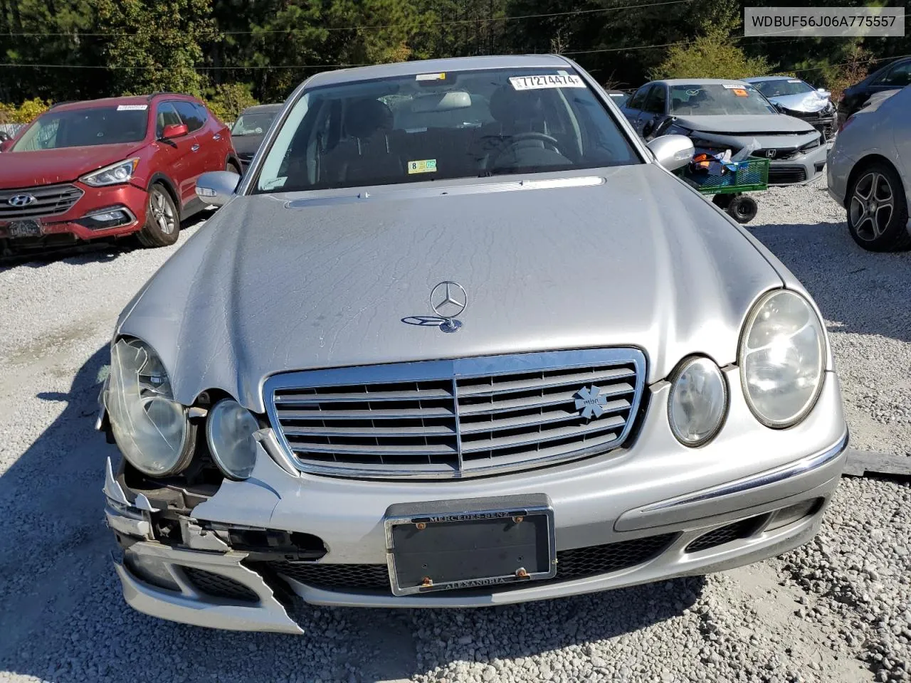 2006 Mercedes-Benz E 350 VIN: WDBUF56J06A775557 Lot: 77274474