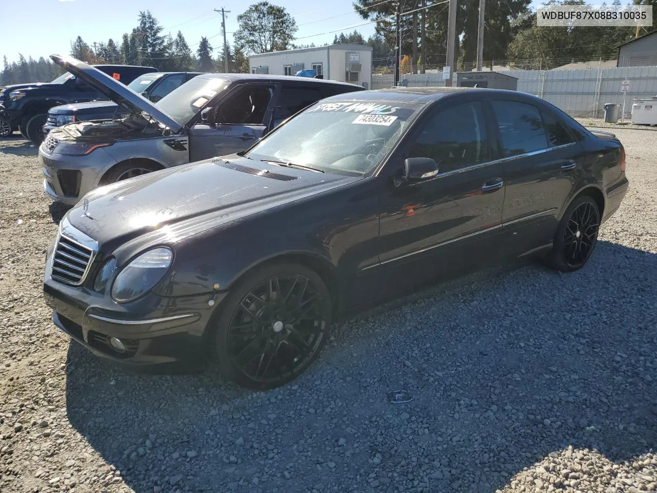 2008 Mercedes-Benz E 350 4Matic VIN: WDBUF87X08B310035 Lot: 74303254