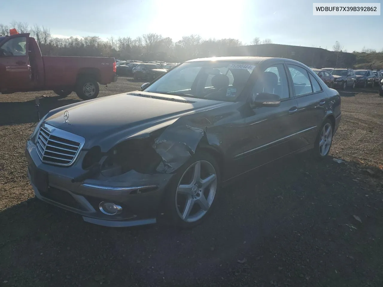 2009 Mercedes-Benz E 350 4Matic VIN: WDBUF87X39B392862 Lot: 75390484