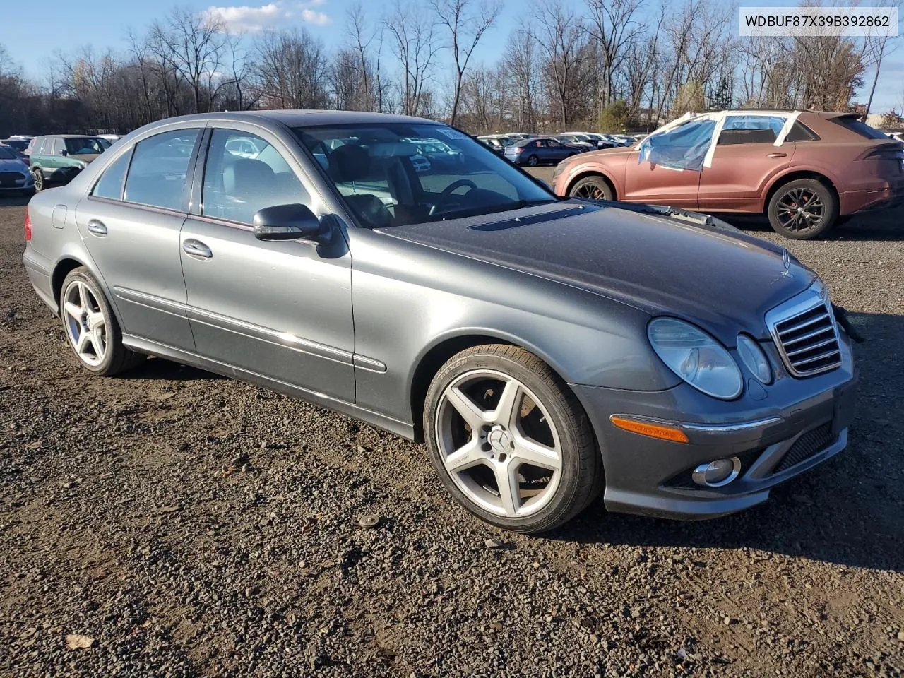 2009 Mercedes-Benz E 350 4Matic VIN: WDBUF87X39B392862 Lot: 75390484